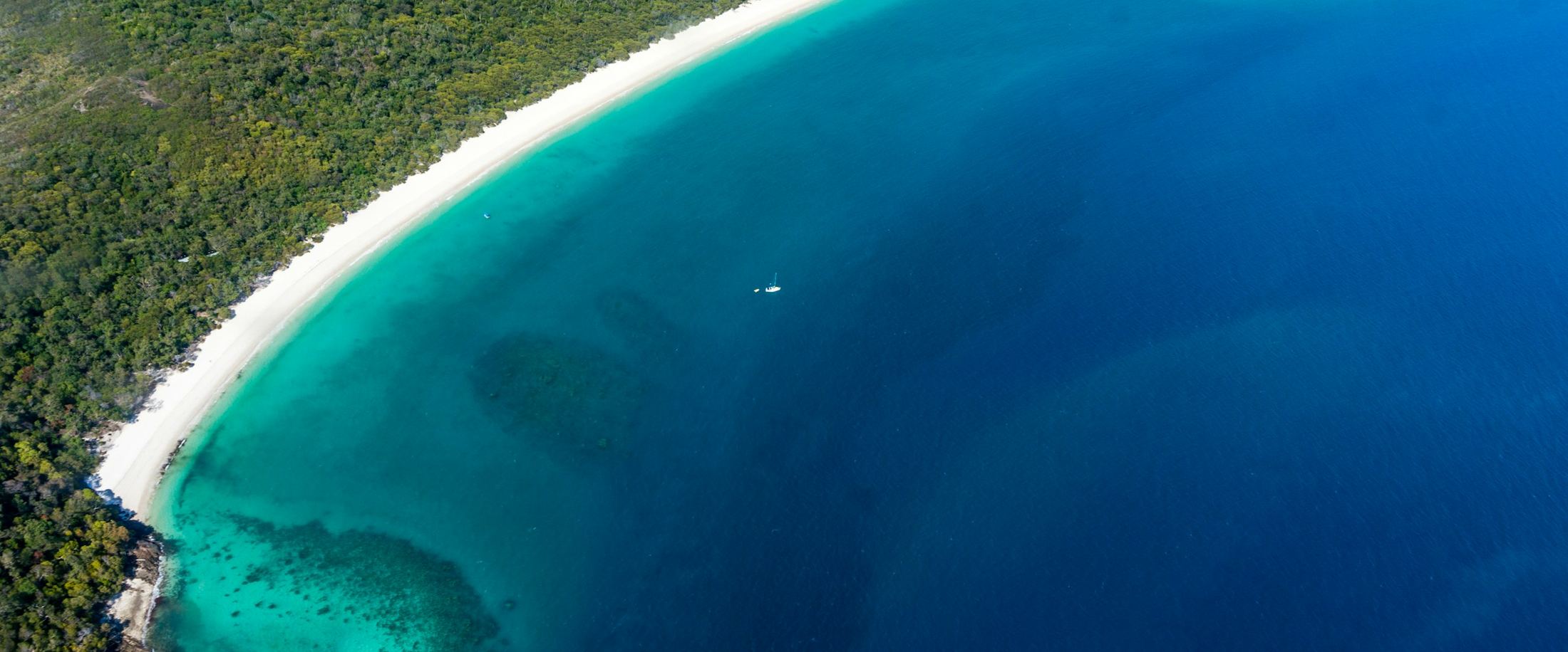 A white surf line curving between jungle and open turquoise water